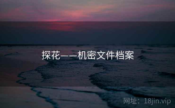 探花——机密文件档案