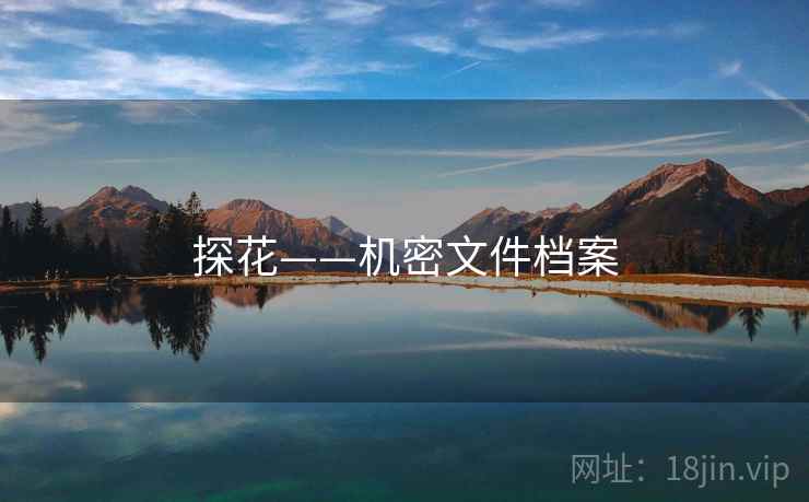探花——机密文件档案 探花——机密文件档案