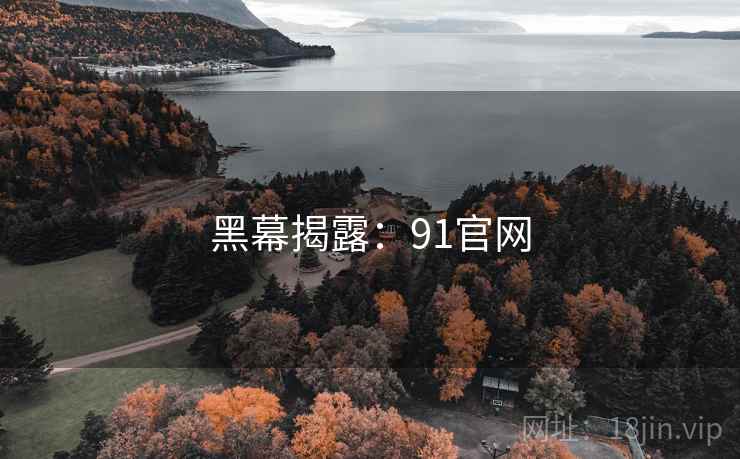 黑幕揭露:91官网 黑幕揭露:91官网
