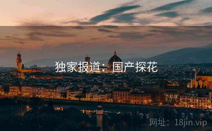 独家报道:国产探花