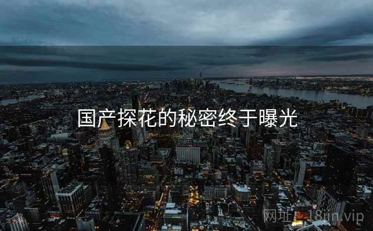 国产探花的秘密终于曝光 国产探花的秘密终于曝光