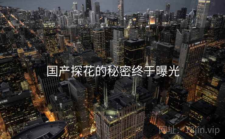 国产探花的秘密终于曝光 国产探花的秘密终于曝光