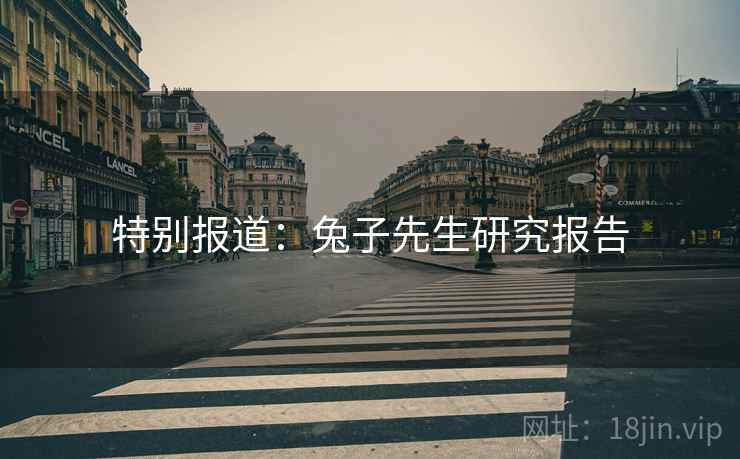 特别报道:兔子先生研究报告 特别报道:兔子先生研究报告