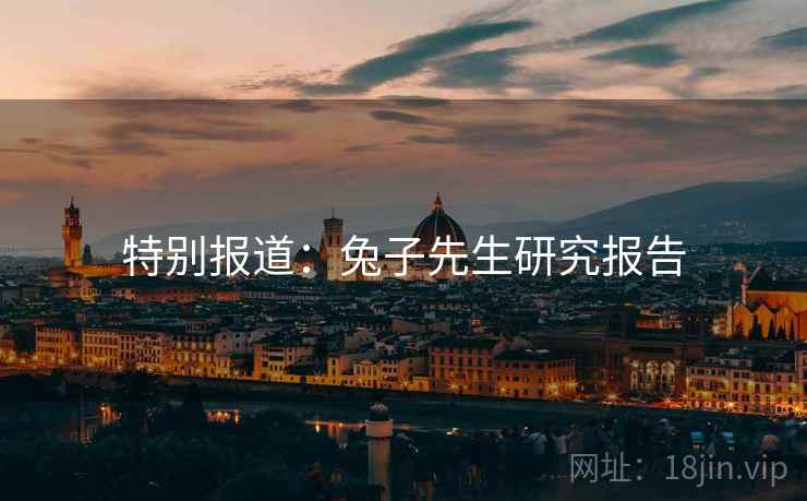特别报道:兔子先生研究报告 特别报道:兔子先生研究报告