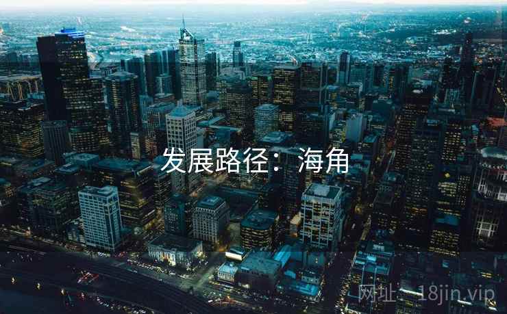 发展路径:海角 发展路径:海角