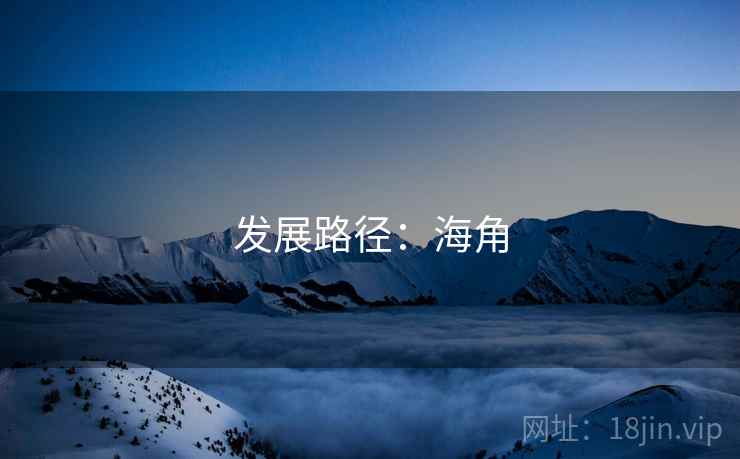 发展路径:海角