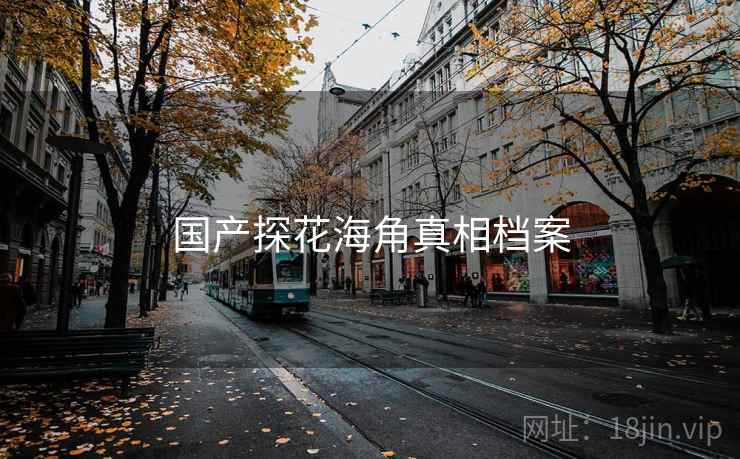 国产探花海角真相档案
