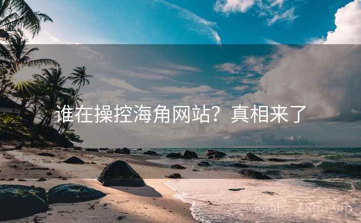谁在操控海角网站?真相来了