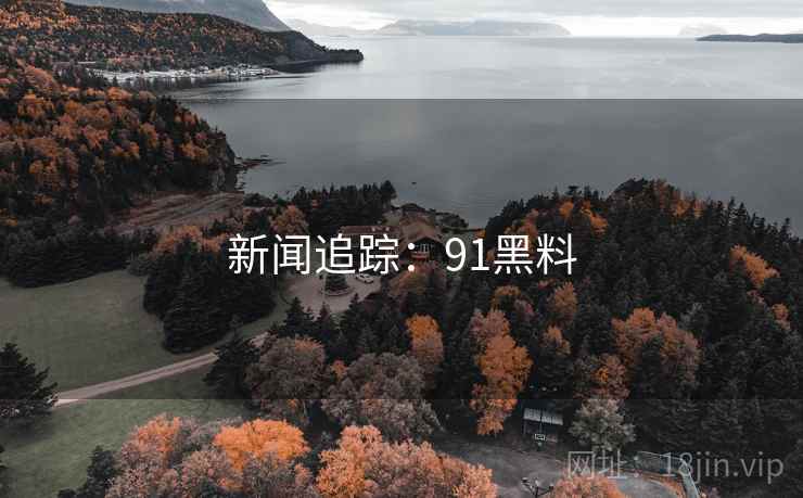 新闻追踪:91黑料 新闻追踪:91黑料