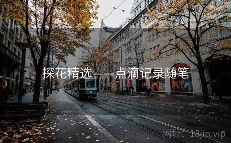 探花精选——点滴记录随笔