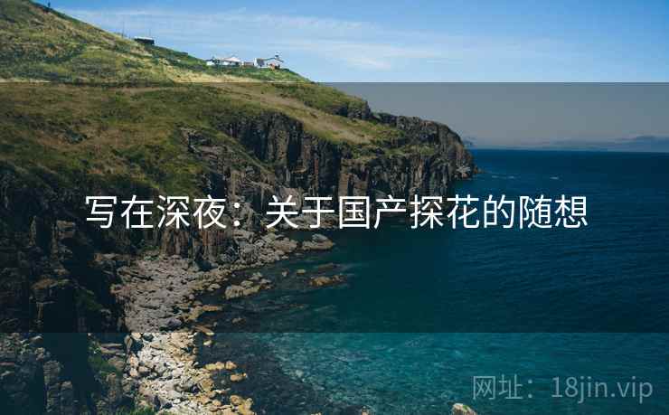 写在深夜:关于国产探花的随想 写在深夜:关于国产探花的随想