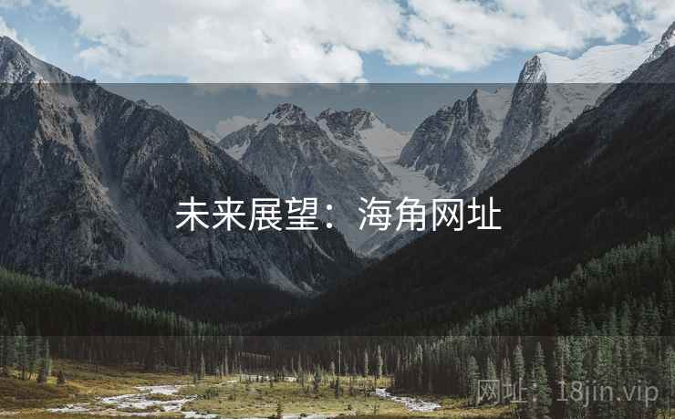未来展望：海角网址