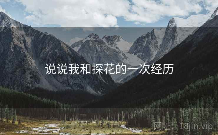说说我和探花的一次经历