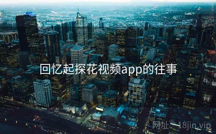 回忆起探花视频app的往事