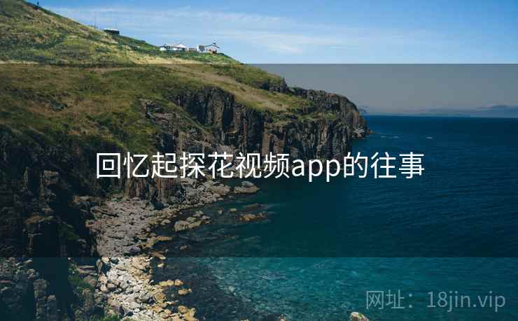 回忆起探花视频app的往事