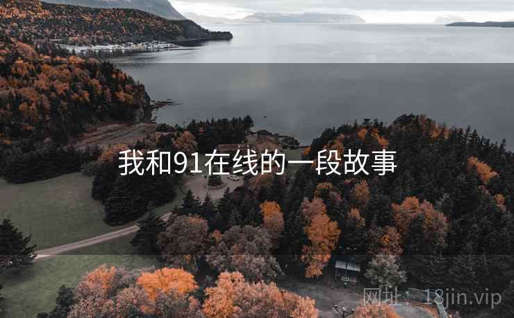 我和91在线的一段故事