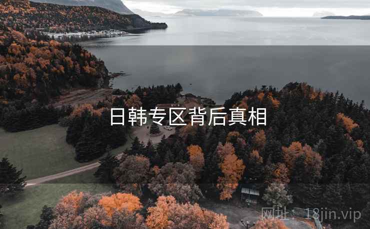 日韩专区背后真相 日韩专区背后真相