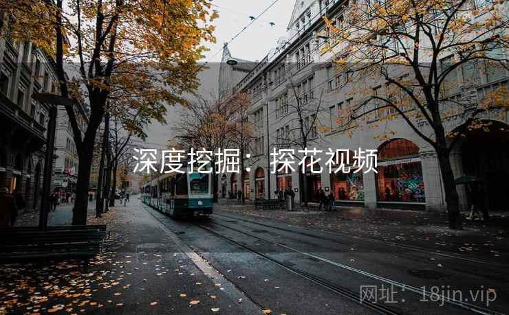 深度挖掘：探花视频
